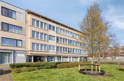 handelspand te koop in Antwerpen (2050) - 2e afbeelding