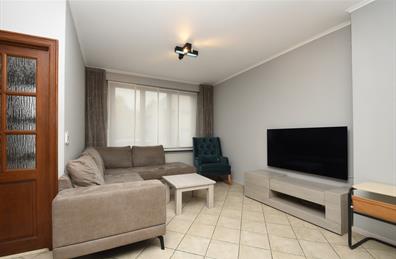 huis te koop in Burcht - 2e afbeelding