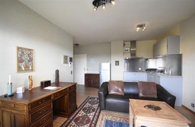 appartement te koop in Antwerpen (2050) - 2e afbeelding