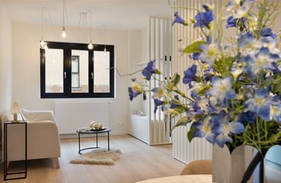 Huis te koop Rupelmonde