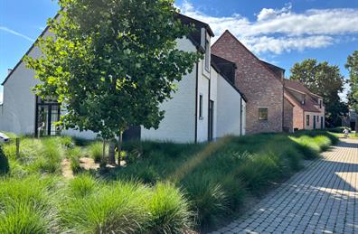 huis te huur in Zwijndrecht - 2e afbeelding