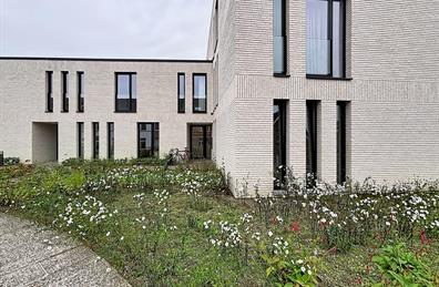 Appartement te huur Rupelmonde